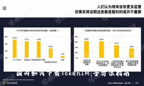 国内如何下载TokenIM：全方位指南