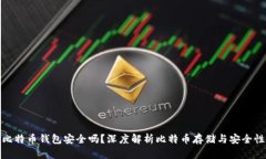 比特币钱包安全吗？深度解析比特币存储与安全