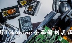 ETH钱包与Tokenim：全面解析其区别与联系