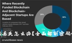 比特币钱包密码丢失怎么办？全面解析密码恢复