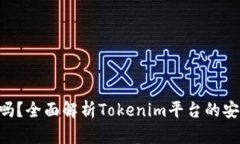 Tokenim能追回吗？全面解析Tokenim平台的安全性与恢