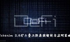 Tokenim 2.0矿工费上涨原因解析与应对策略