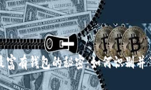 揭开比特币最富有钱包的秘密：如何识别并了解加密财富