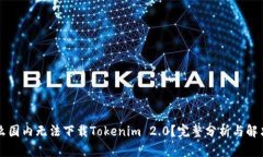 为什么国内无法下载Tokenim 2.0？完整分析与解决方