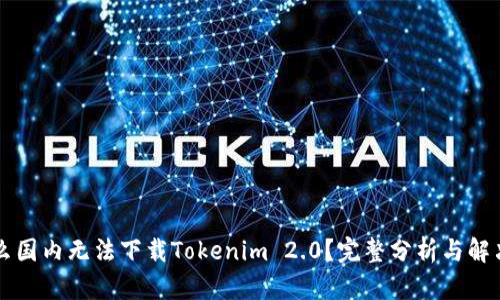 为什么国内无法下载Tokenim 2.0？完整分析与解决方案