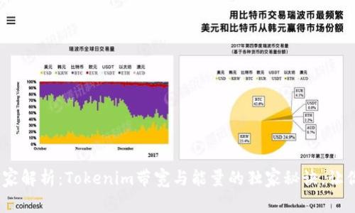 liaotian专家解析：Tokenim带宽与能量的独家秘诀，让你彻底了解！