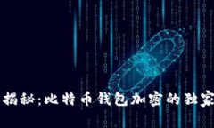 专家揭秘：比特币钱包加密的独家秘诀