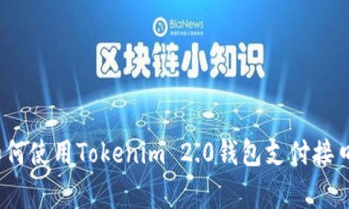 专家揭秘：如何使用Tokenim 2.0钱包支付接口的独家秘诀