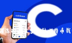 专家揭秘：如何选择最佳多币种比特币钱包的独