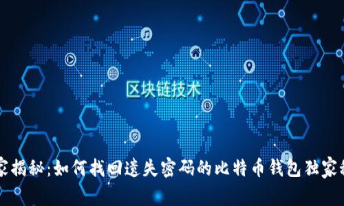 专家揭秘：如何找回遗失密码的比特币钱包独家秘诀