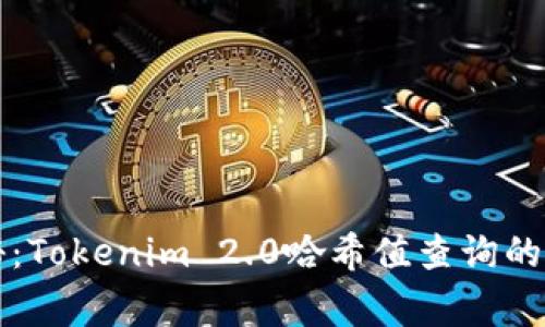 独家揭秘：Tokenim 2.0哈希值查询的专家秘诀