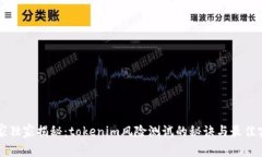 专家独家揭秘：tokenim风险测试的秘诀与最佳实践