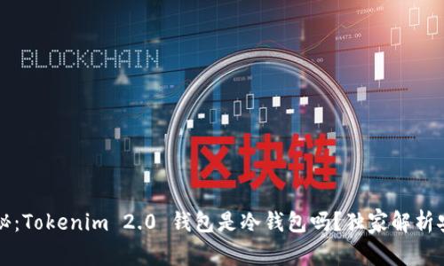 专家揭秘：Tokenim 2.0 钱包是冷钱包吗？独家解析安全秘诀