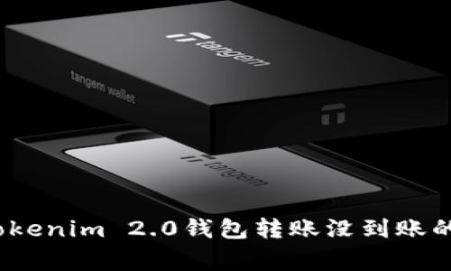 专家独家揭秘：Tokenim 2.0钱包转账没到账的秘诀与解决方案
