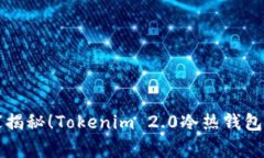 专家独家揭秘！Tokenim 2.0冷热钱包使用秘诀