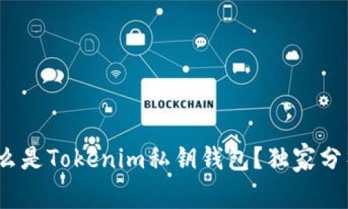 专家揭秘：什么是Tokenim私钥钱包？独家分析与使用秘诀