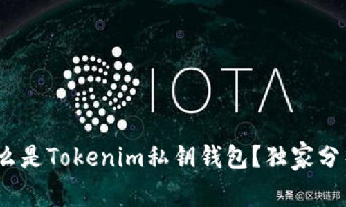 专家揭秘：什么是Tokenim私钥钱包？独家分析与使用秘诀