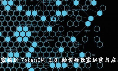 专家揭秘：TokenIM 2.0 助词的独家秘密与应用！
