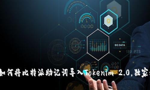 专家揭秘：如何将比特派助记词导入Tokenim 2.0，独家秘诀大公开