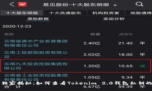 专家独家揭秘：如何查看Tokenim 2.0钱包私钥的秘诀