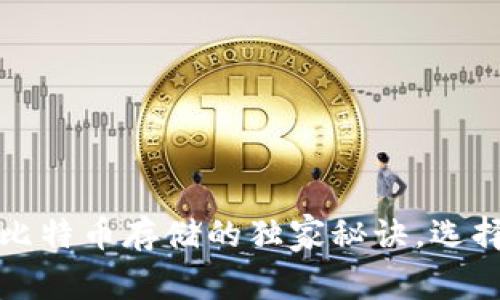 专家揭秘：比特币存储的独家秘诀，选择最佳钱包！