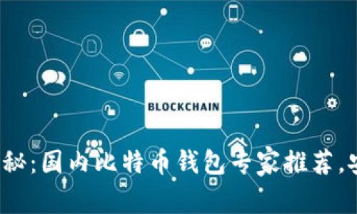 2023年独家揭秘：国内比特币钱包专家推荐，安全性能大解析