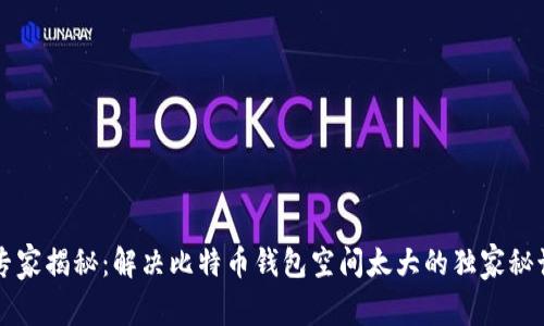 专家揭秘：解决比特币钱包空间太大的独家秘诀