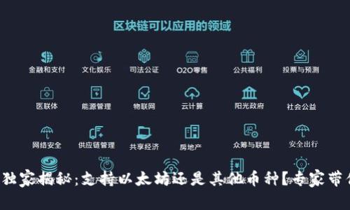 小狐狸钱包独家揭秘：支持以太坊还是其他币种？专家带你深入了解！