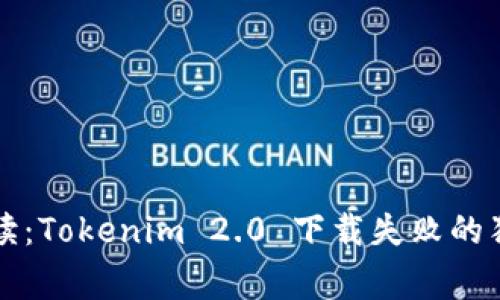 专家解读：Tokenim 2.0 下载失败的独家秘诀