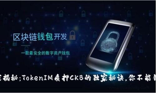 专家揭秘：TokenIM质押CKB的独家秘诀，你不能错过！