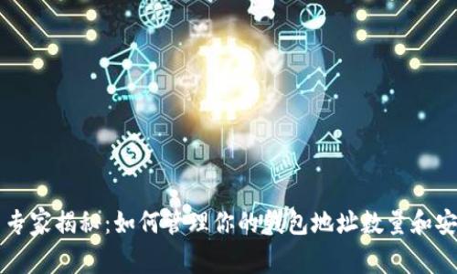 比特币专家揭秘：如何管理你的钱包地址数量和安全秘笈