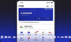 专家独家揭秘：如何将Tokenim 2.0钱包导入比特派的