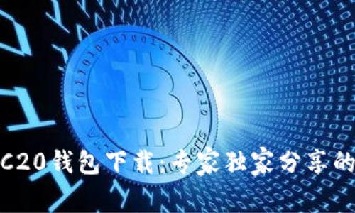 USDT ERC20钱包下载：专家独家分享的安全秘诀