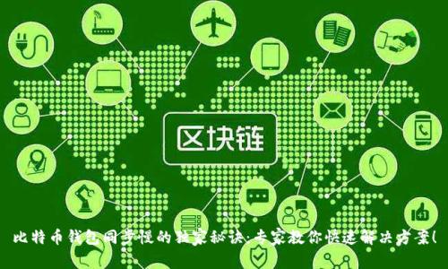 比特币钱包同步慢的独家秘诀：专家教你快速解决方案！