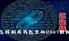 专家独家揭秘：怎样利用钱包里的USDT轻松购买心