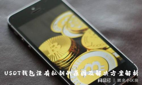USDT钱包没有私钥的原因及解决方案解析