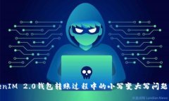 TokenIM 2.0钱包转账过程中的小写变大写问题解析