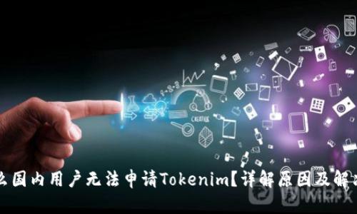 为什么国内用户无法申请Tokenim？详解原因及解决方案