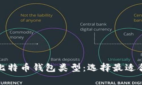 全面解析比特币钱包类型：选择最适合你的钱包