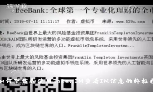 : 如何下载和使用TokenIM查看IM信息的终极指南