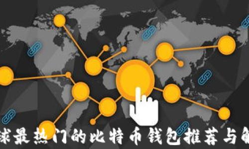 
全球最热门的比特币钱包推荐与解析