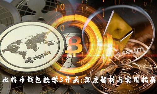 比特币钱包数学3开头：深度解析与实用指南