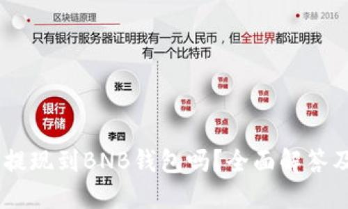 SHIB可以提现到BNB钱包吗？全面解答及操作指南