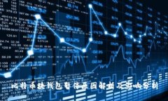 比特币块钱包暂停原因解析及影响分析