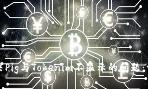 如何解决Pig与Tokenim不显示的问题：详细指南