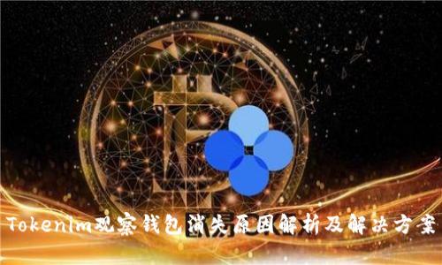 Tokenim观察钱包消失原因解析及解决方案