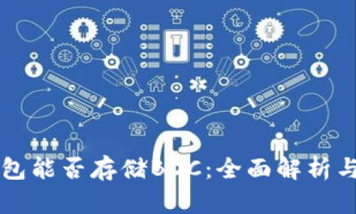 比特币钱包能否存储BDC：全面解析与使用指南