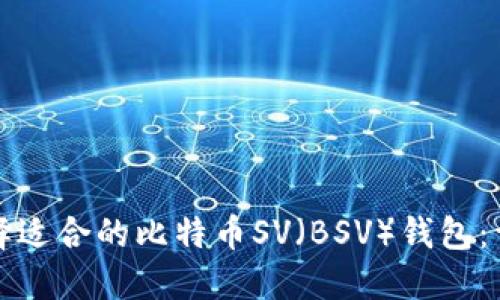 如何选择适合的比特币SV（BSV）钱包：详尽指南
