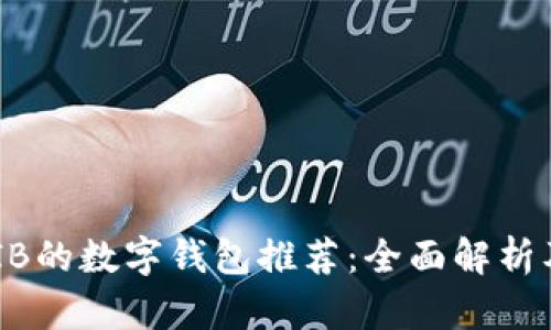 可以存SHIB的数字钱包推荐：全面解析及使用指南