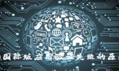 Tokenim 2.0国际版应用验证失败的原因及解决方案